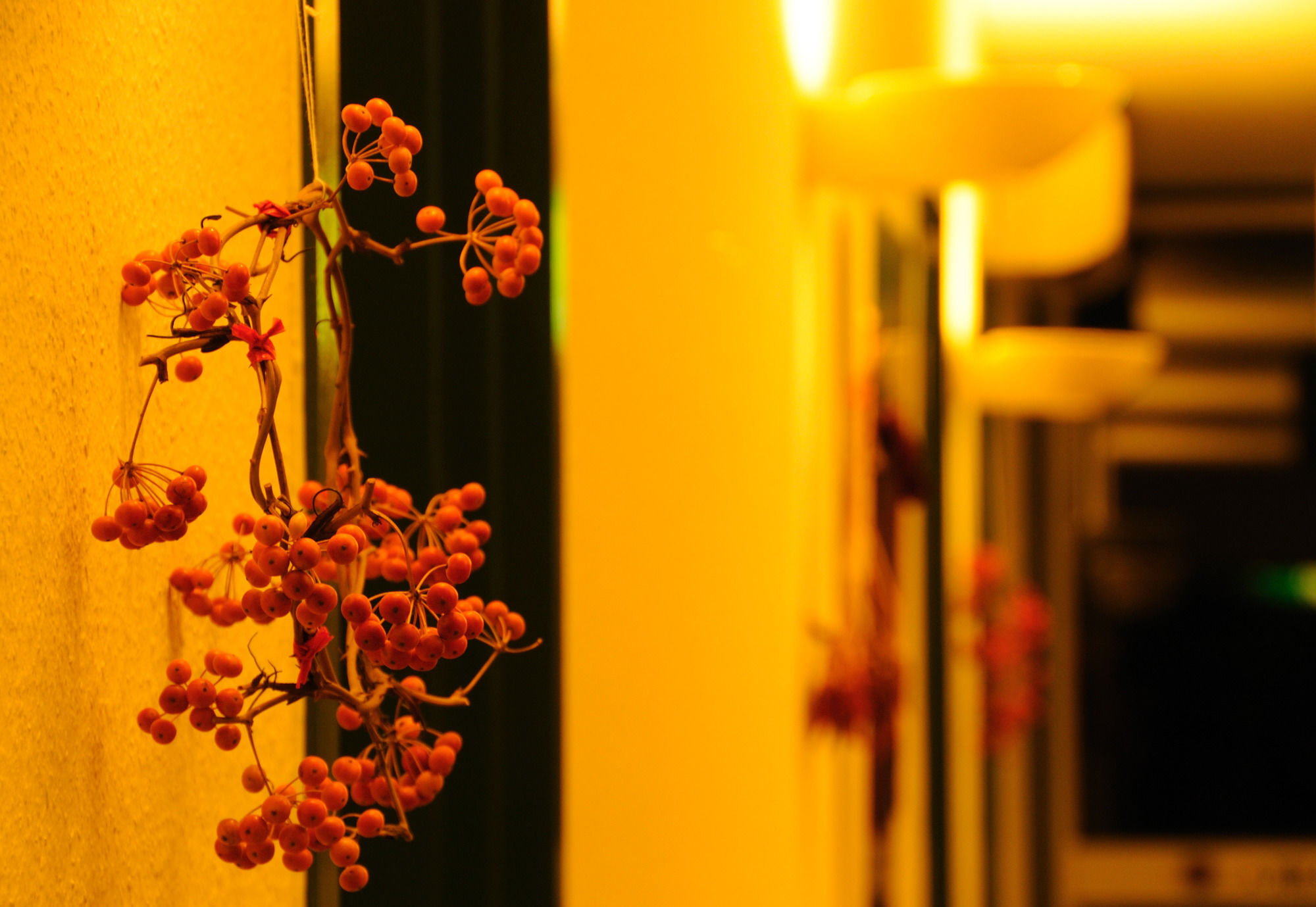 Petit Resort Hotel Alcyon Ито Екстериор снимка